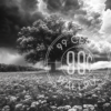 Black and white image of a tree and wildflowers with a distant storm lurking for a phone wallpaper